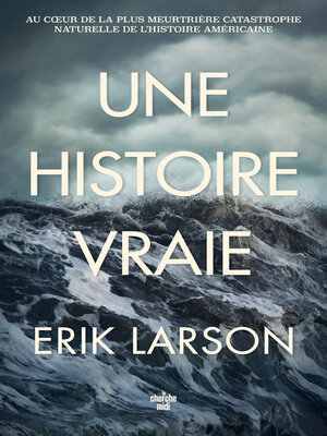 cover image of Une histoire vraie